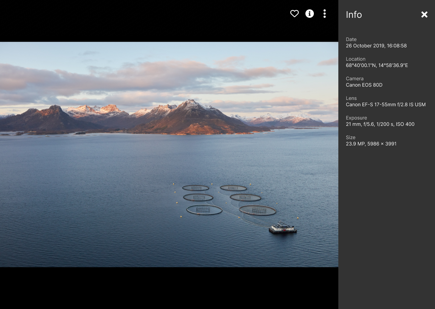 Viewing a photograph with metadata